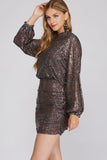 Long Sleeve Sequin Dress