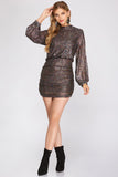 Long Sleeve Sequin Dress